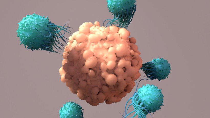 3d illustration of t-cells fighting a cancer cell