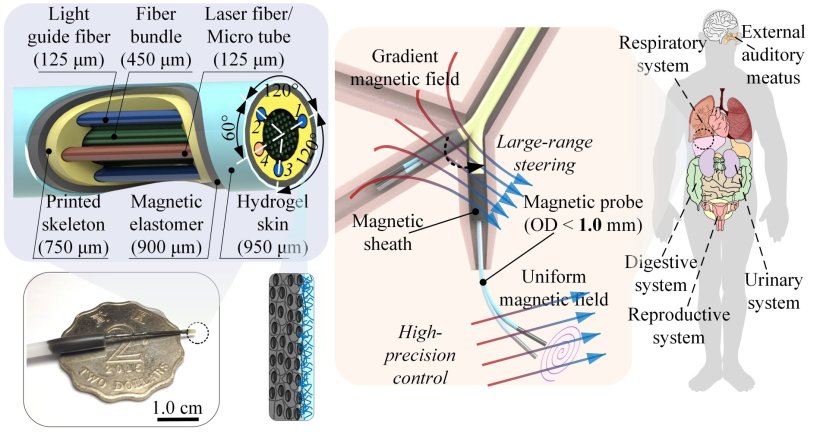 The schematic in the top left of the picture shows the structure of the...