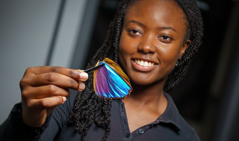 Paula Kirya is holding a coulourful butterfly wing in a pair of tweezers