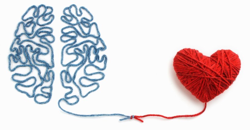 Blue yarn in the shape of a human brain, and red yarn in the shape of a heart...