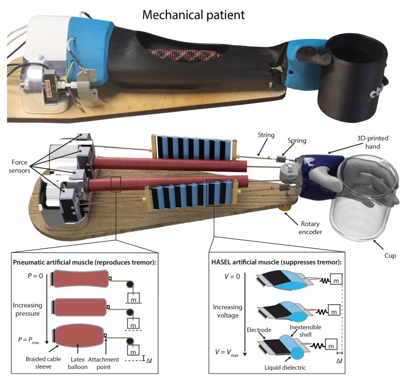 Design and control of the mechanical patient and tremor suppression mechanism