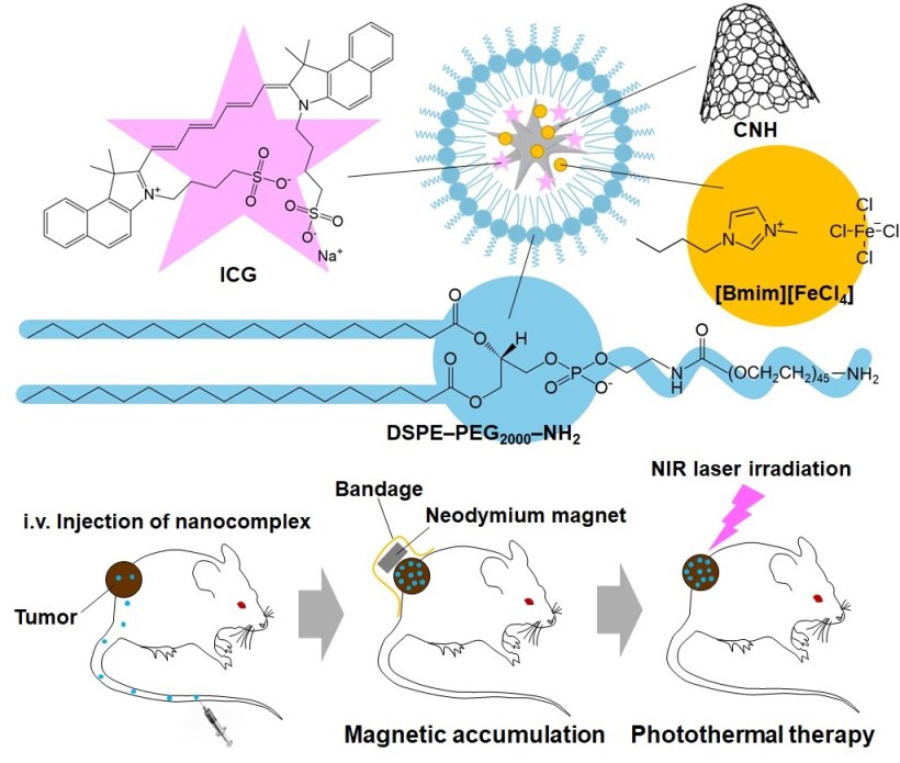 Schematic of the nanoparticle: (top) illustrates the integration of a magnetic...