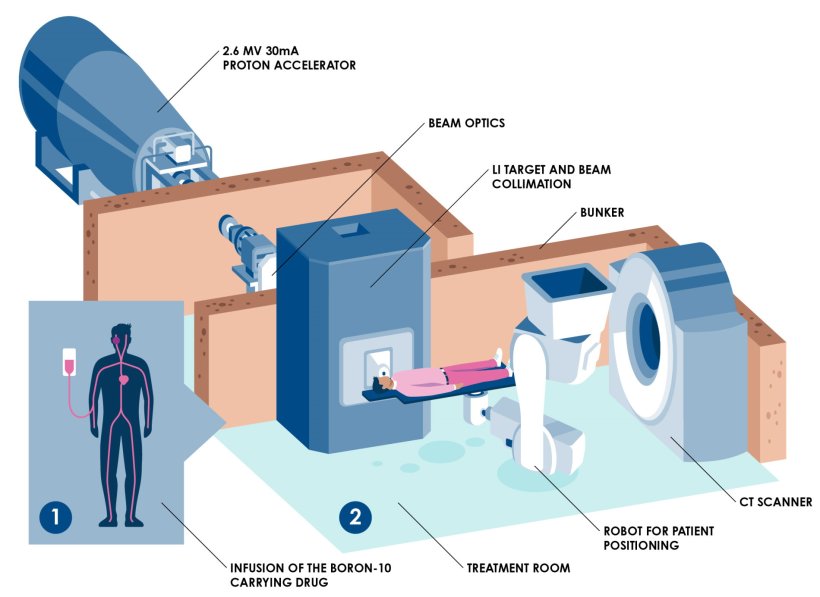 Schematic illustration of boron neutron capture therapy (BNCT)