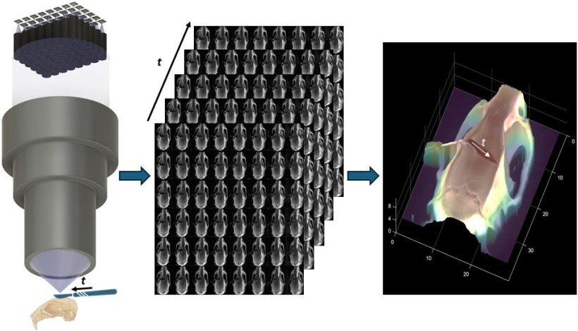 Left: Schematic view of a microscope lens viewing a rodent skull; centre: 48...