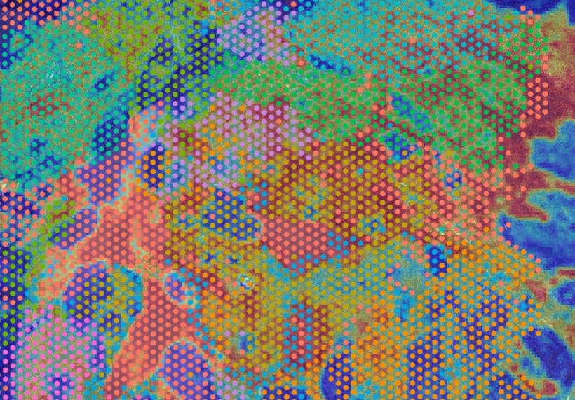 Gerastertes Bild mit vielfarbigen Flächen