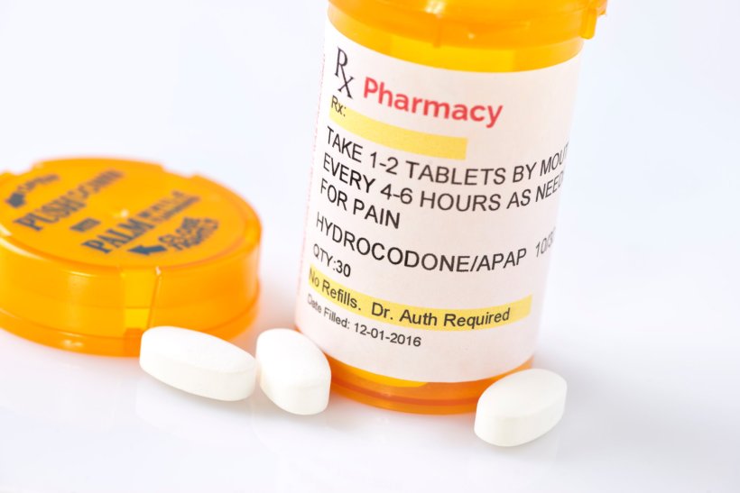 Prescription pills labelled Hydrocodone, example of opioid medication