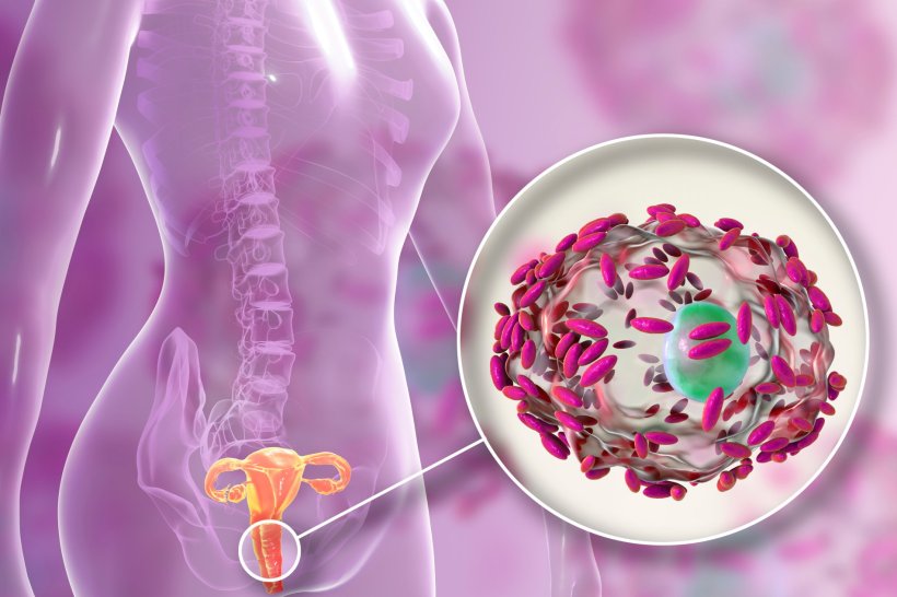 3D illustration of a transparent womans body against a pink background. The...