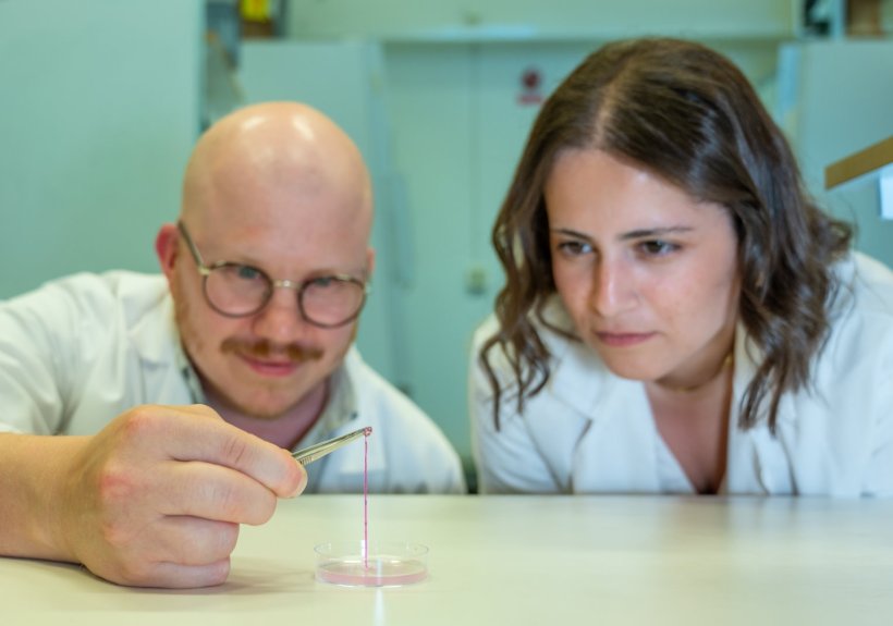 Two reseachers are focussing on a petri dish on a table before them. The...