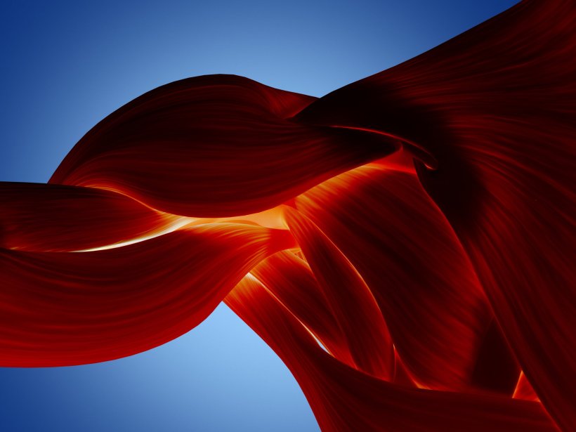 3D-Illustration der Muskeln einer Schulter vor blauem Hintergrund