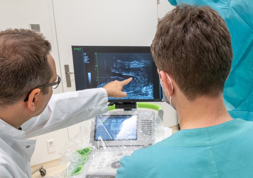 Zwei Mediziner blicken auf ein Ultraschallbild einer Prostata, das auf einem...