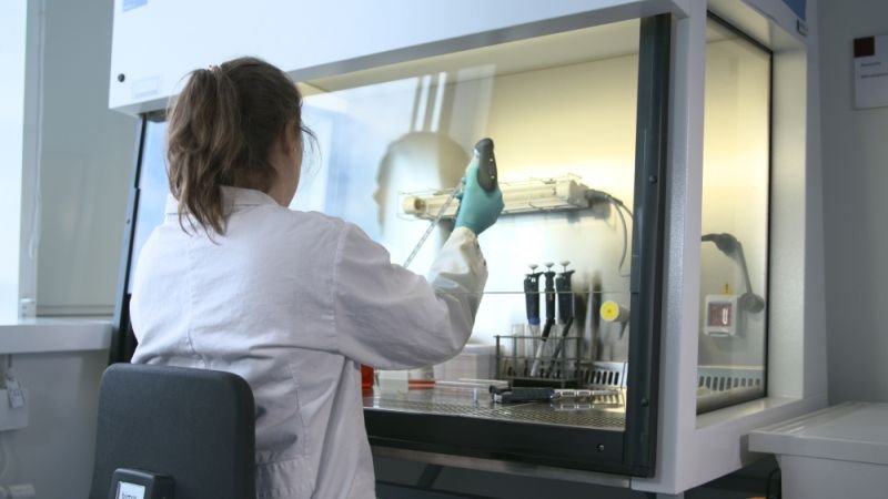 Stuttgart researchers enhance CRISPR for cellular analysis