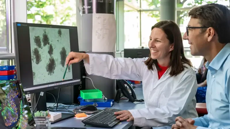 In the study, the researchers were able to demonstrate the increased formation...