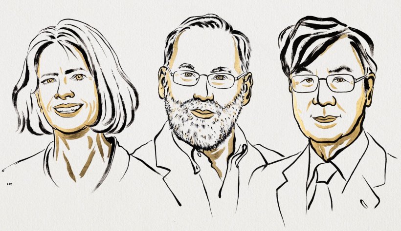 From left: Mary E. Brunkow, Fred Ramsdell and Shimon Sakaguchi have been...