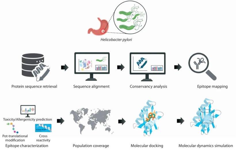 Workflow for virulence factor protein analysis of Helicobacter pylori