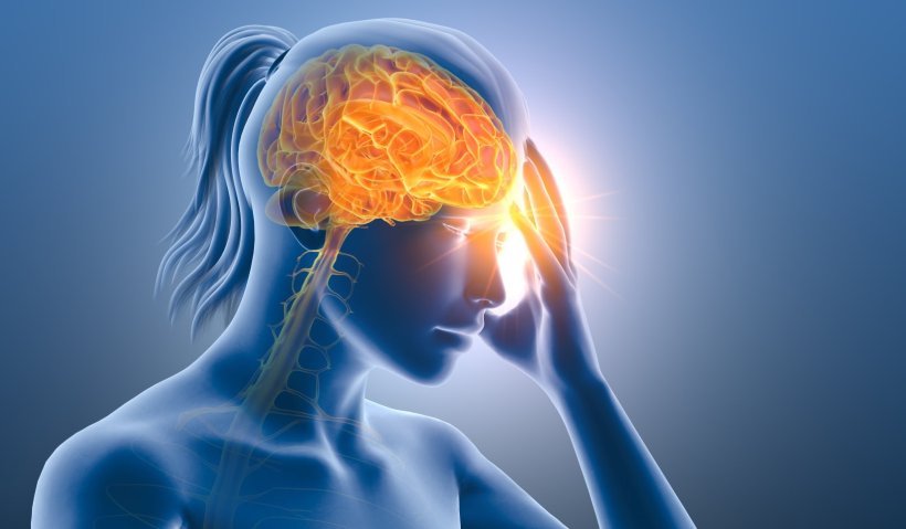 3D illustration of a womans shoulders and head, with the brain highlighted in...