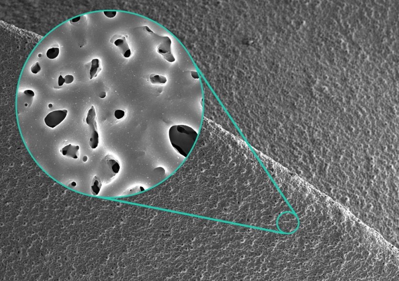 Rasterelektronenmikroskopische Aufnahme einer Silber-dotierten porösen...