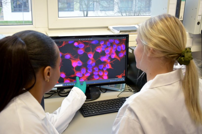 Fatima Kargbo (links) und Paulina Kleisa bei der Bewertung der Morphologie...