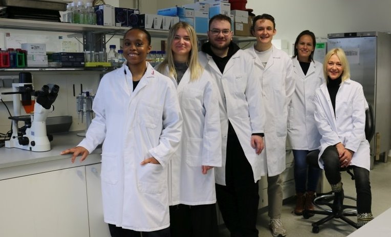 Entstehung von Kniegelenksarthrose auf der Spur