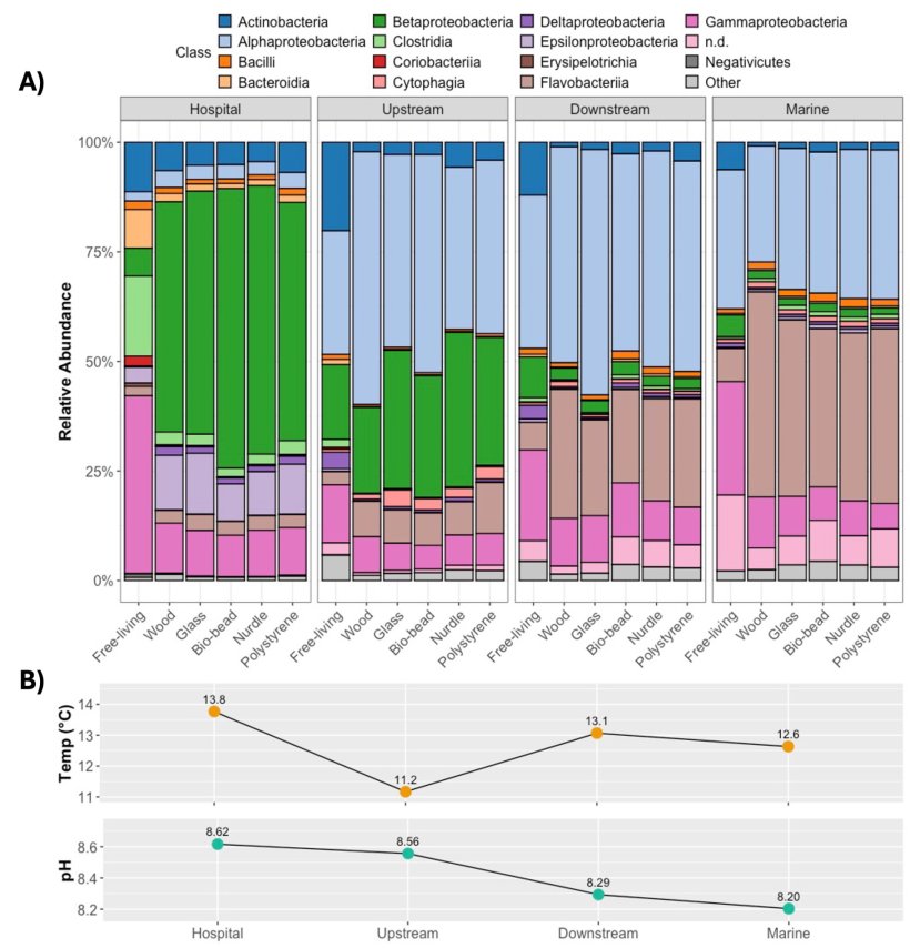 Smaple results show the relative abundance of bacteria by class (A) with...