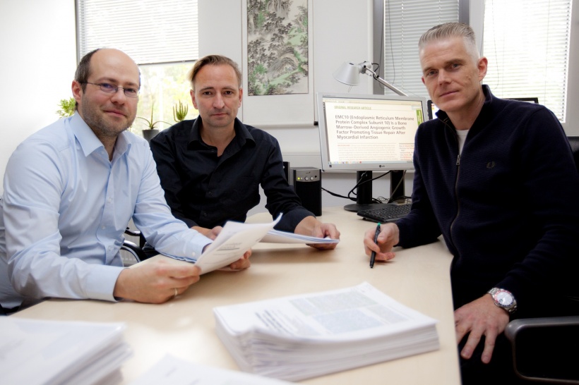 Professor Wollert, Dr. Marc Reboll und Dr. Mortimer Korf-Klingebiel,...