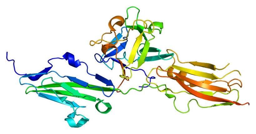 Struktur des FGFR2-Proteins