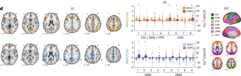 Ein negativer ∆BOLD-Wert deutet nicht auf einen verminderten...