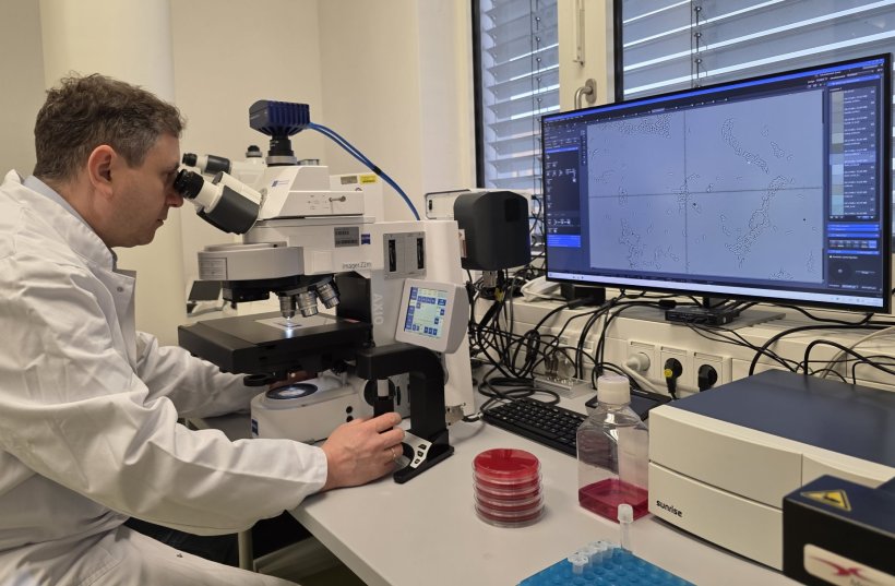 Prof. Dr. Evgeny A. Idelevich sitzt an einem Schreibtisch und blickt durch das...