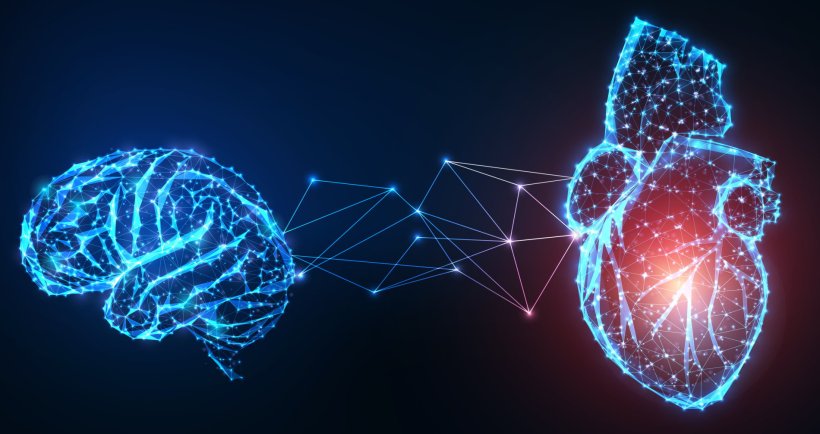 A polygonal heart and a brain are connected on a black background