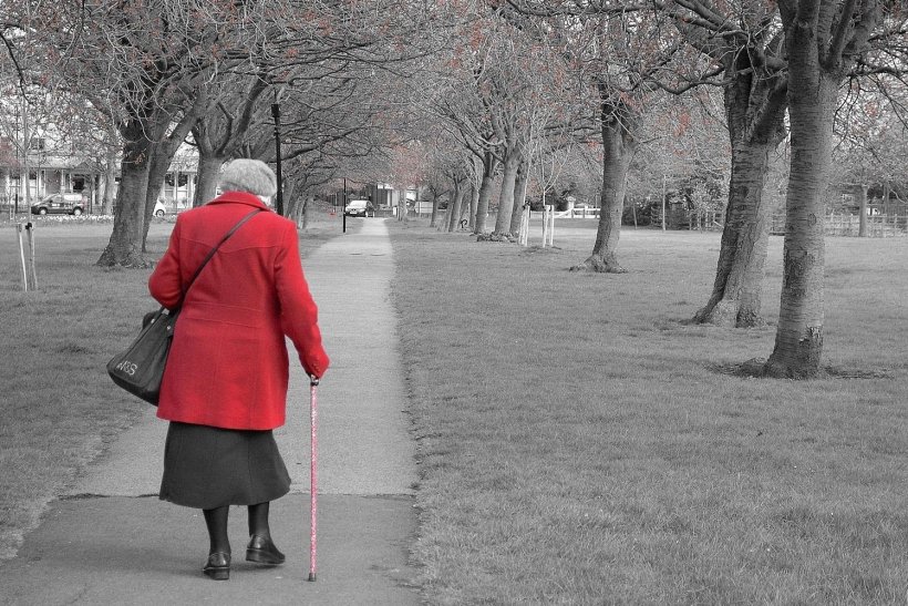 Color key photo of an older woman walking in a park with a walking stick. Her...