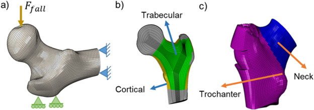 (a) Boundary conditions applied to Finite Element (FE) model. (b) Bone tissue:...