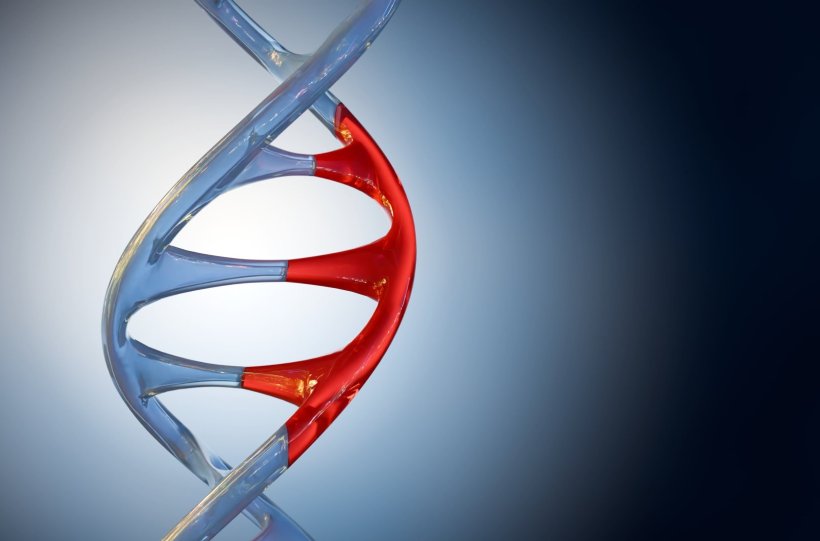 3D illustration of a blue DNA double helix, with a section replaced with a red...