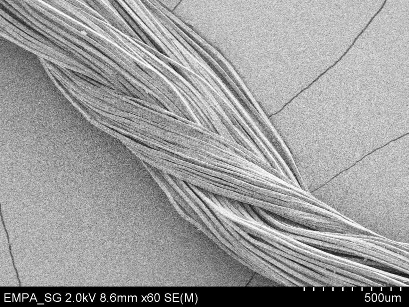Elektonenmikroskopisches Bild eines gewickelten Faserstrangs in schwarz-weiß....