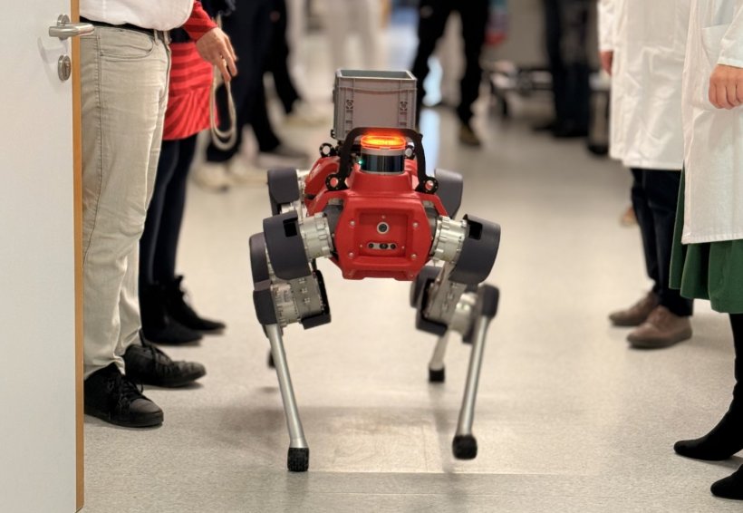 Ein Roboter-Hund mit rotem Körper und silbernen Beinen steht im Klinikflur...