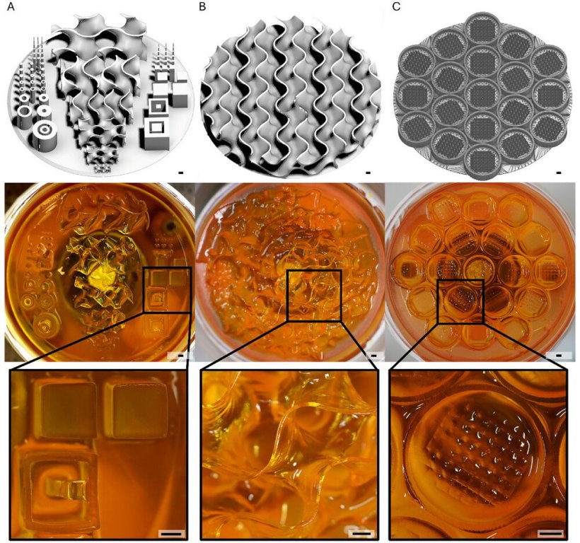 3D-gedruckte Strukturen in orange, darüber eine computergenerierte Ansicht in...