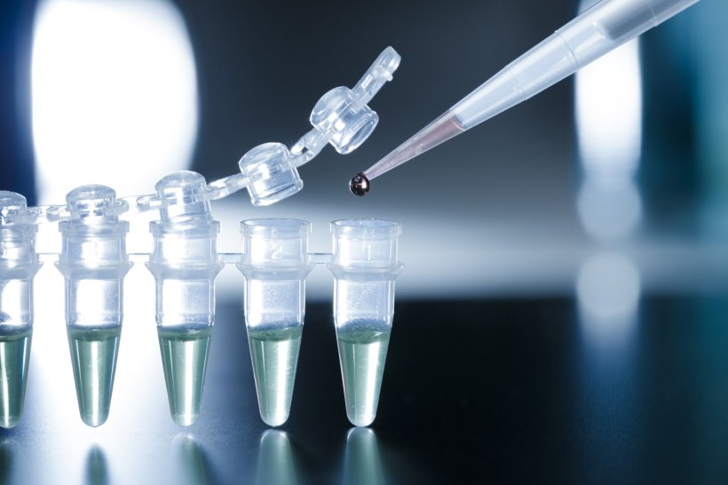 Eine Pipette tropft einen Tropfen Flüssigkeit in einen Probenbehälter