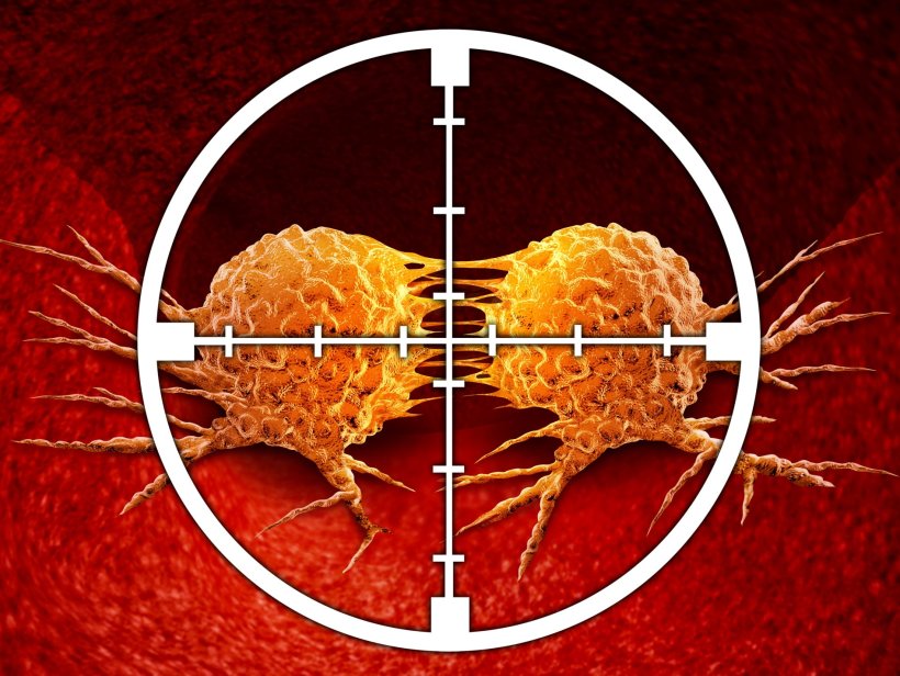 Two dividing orange cancer cells in a white crosshairs