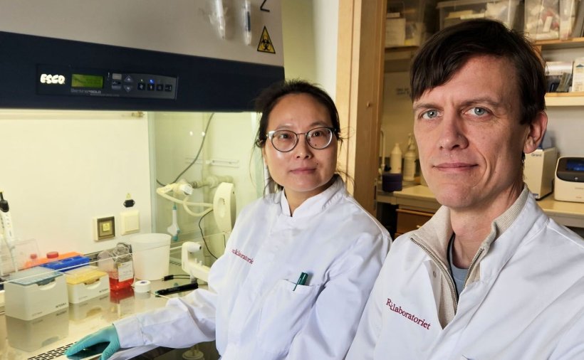 Miao Zhao and Fredrik Swartling are standing in a laboratory with typical lab...