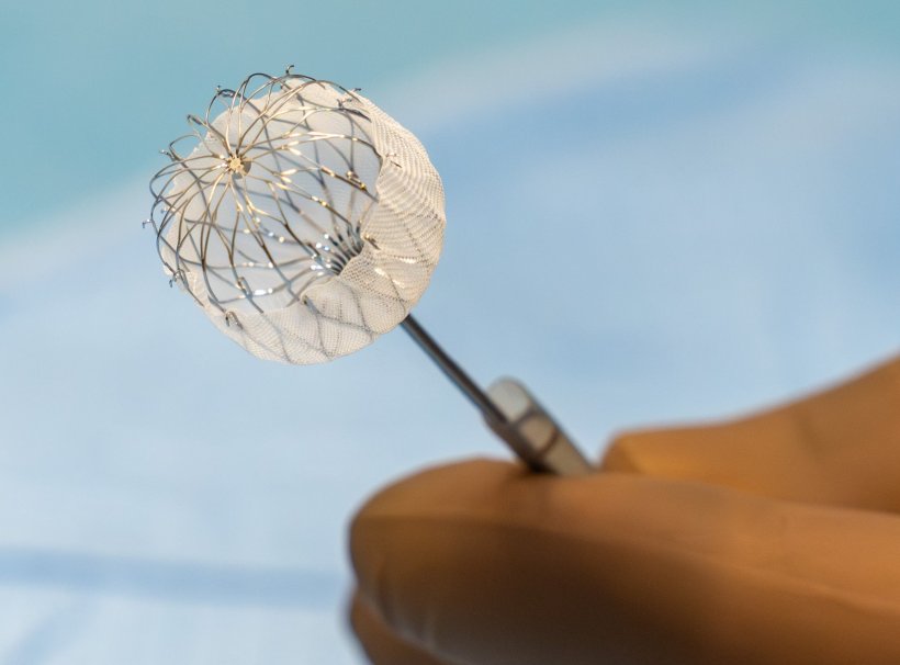 Eine hand im Schutzhandschuh hält einen Okkluder in die Kamera - eine kleine...