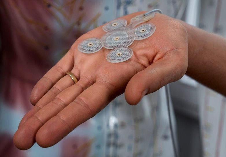 Eine Hand mit nach oben gerichteter Handfläche hält einen flachen Gegenstand...