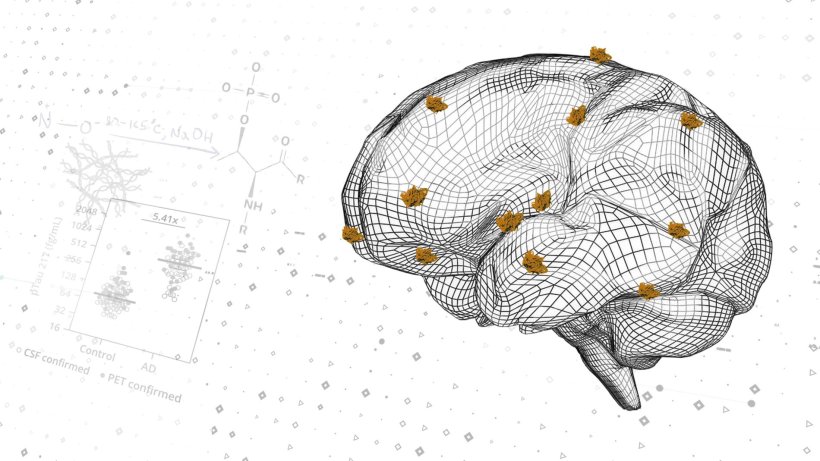 3D wireframe model of a human brain, with yellowish parts signifying tau...
