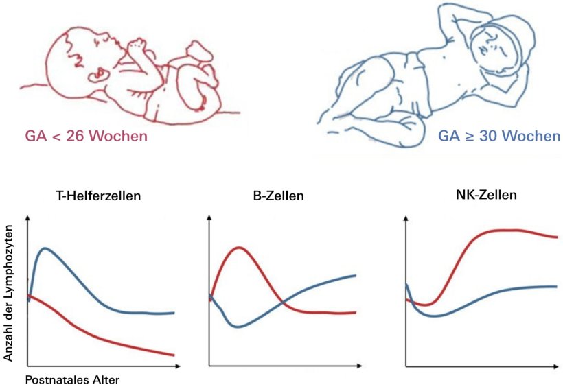 In der Studie wurden 1.533 Blutuntersuchungen aus den ersten 50 Lebenstagen von...
