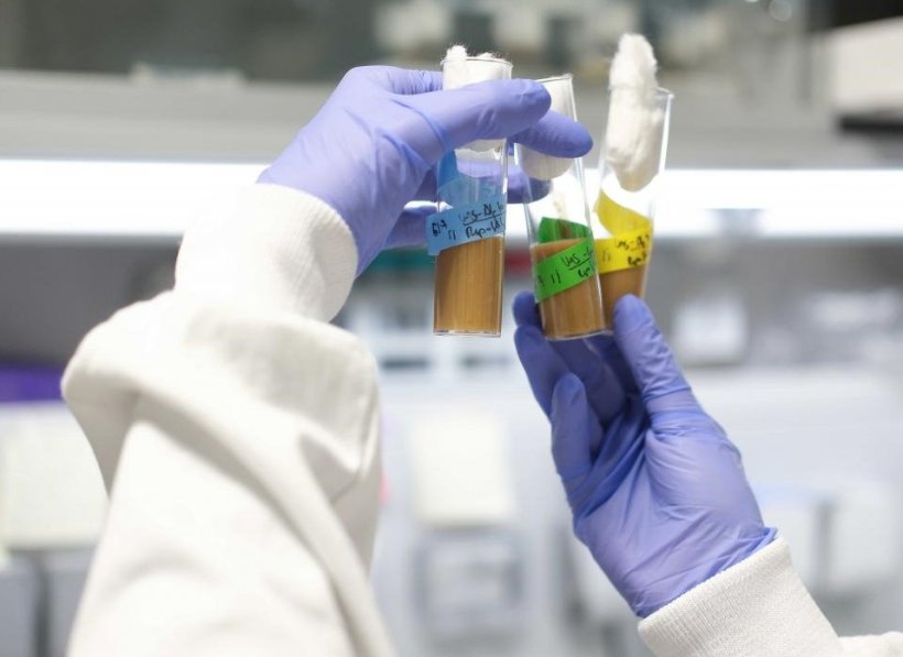 New organoids offer deeper insights into pediatric brain cancer