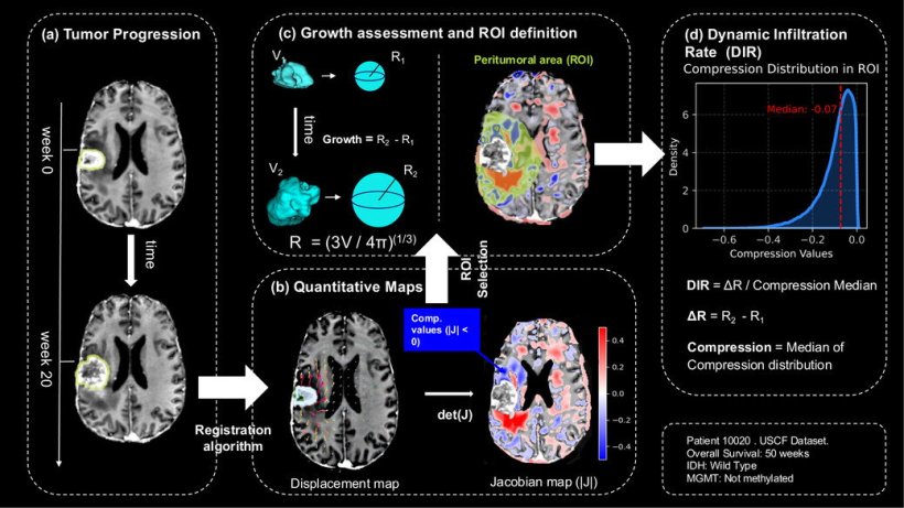 (a) Baseline (week 0) and follow-up (week 20) contrast-enhanced T1-weighted...