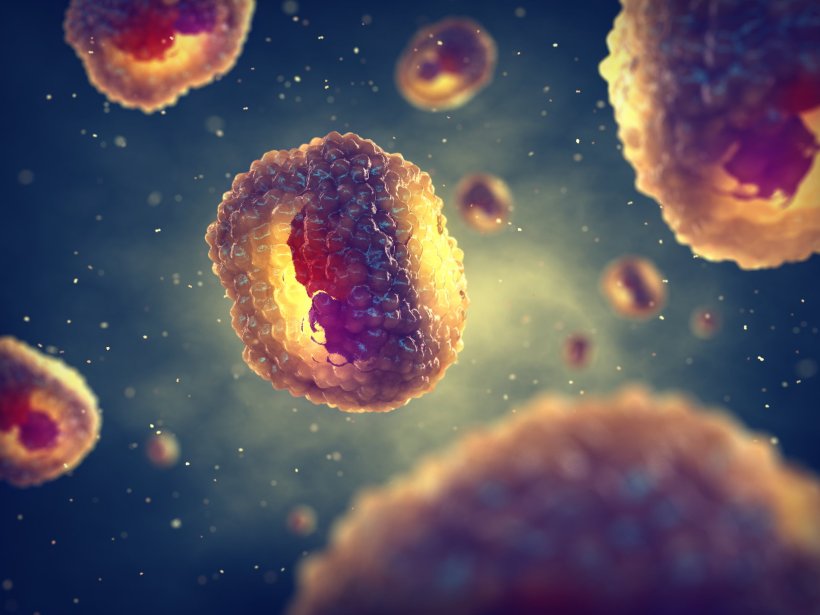 3D illustration of Chlamydia bacteria