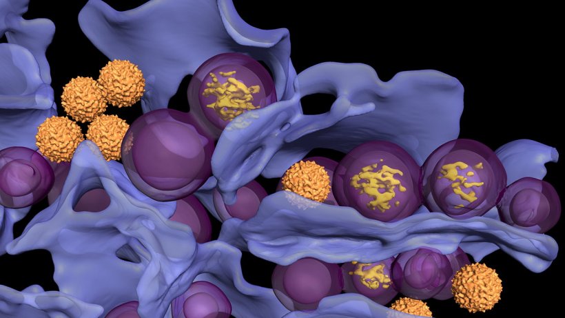 3D-rendered cell structures in purple, with virus particles as spiky orange...
