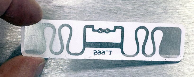 Closeup photo of a small RFID chip tag, held between thumb and index finger,...