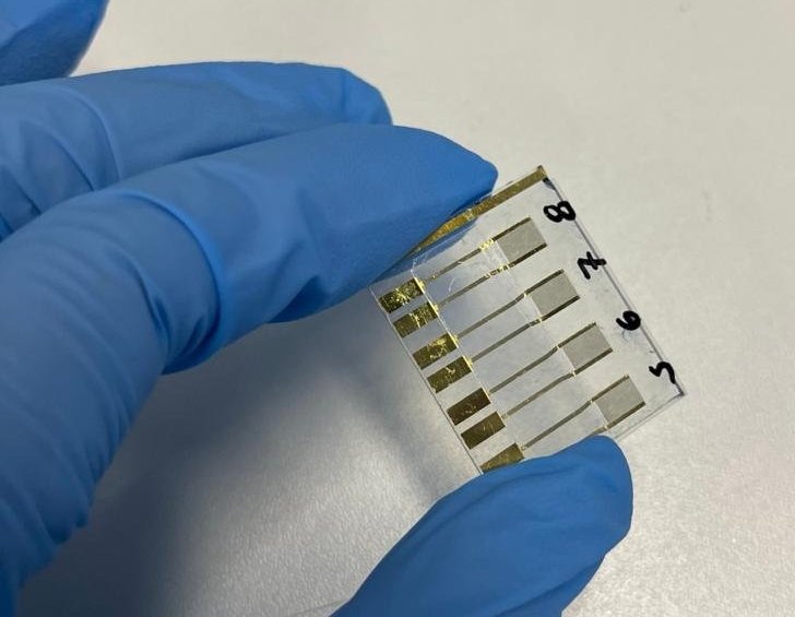 Closeup photo of a small biosensor held by a hand in a blue protective glove
