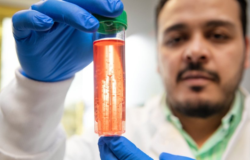 Dr. Fawaz Saleh hält ein Teströhrchen mit rötlicher Flüssigkeit in den...