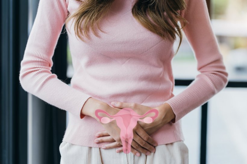 Cropped photo of a young woman holding her abdomen with both hands. An image of...