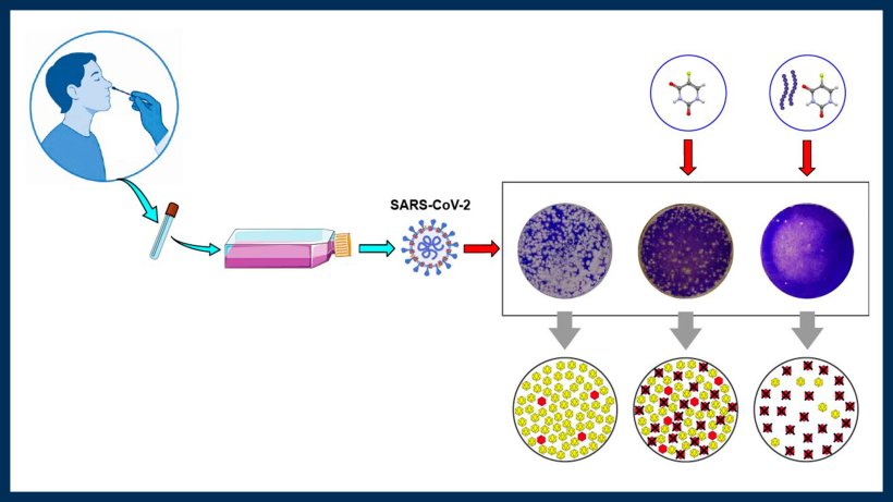 New dual antiviral strategy against Covid-19 pathogen